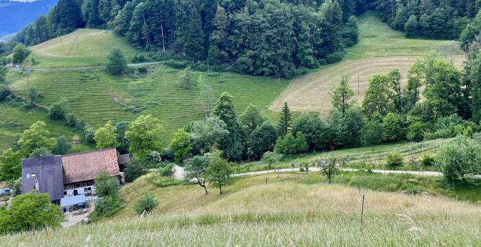 Hof Waldenstein