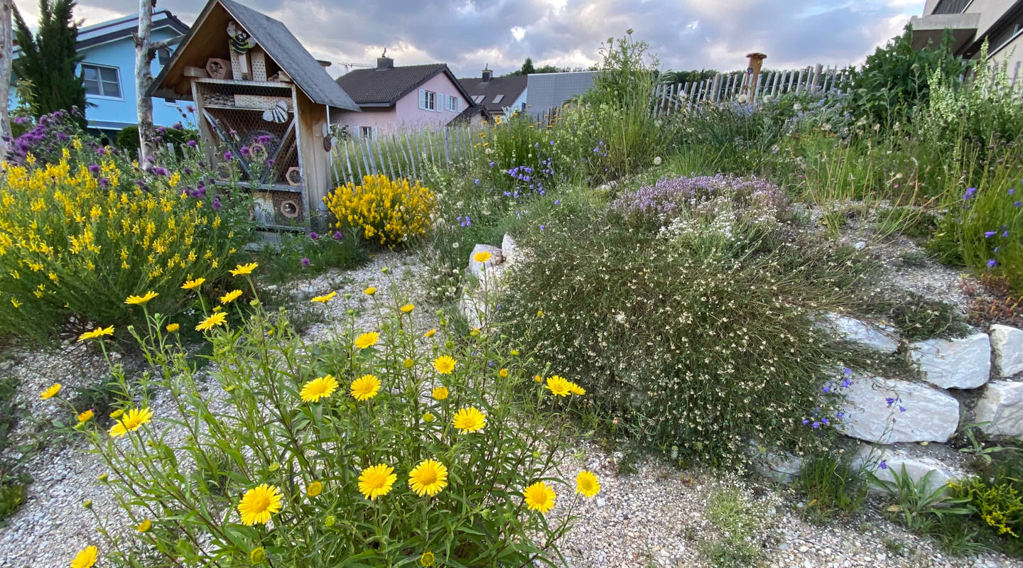 Biodiversitätfördern Im Siedlungsraum | Pro Natura Solothurn